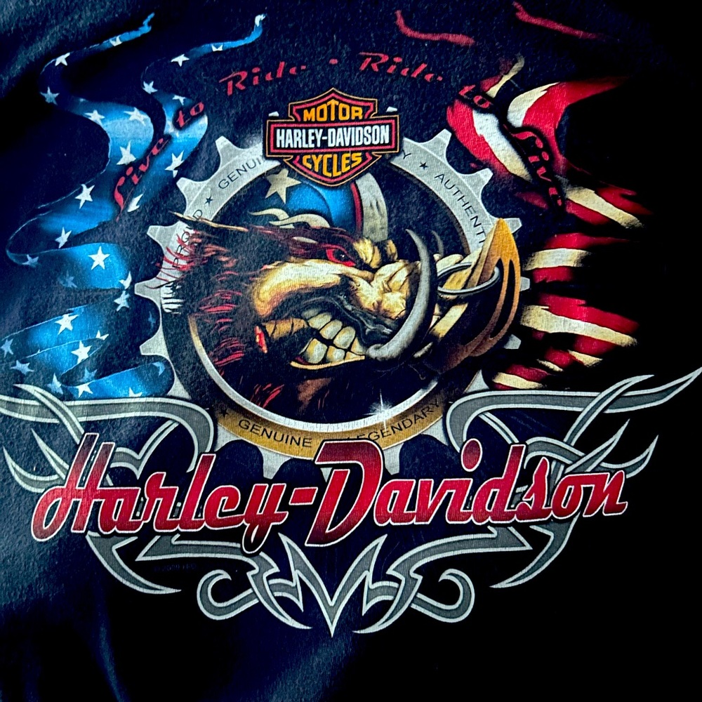 Harley tee shirt